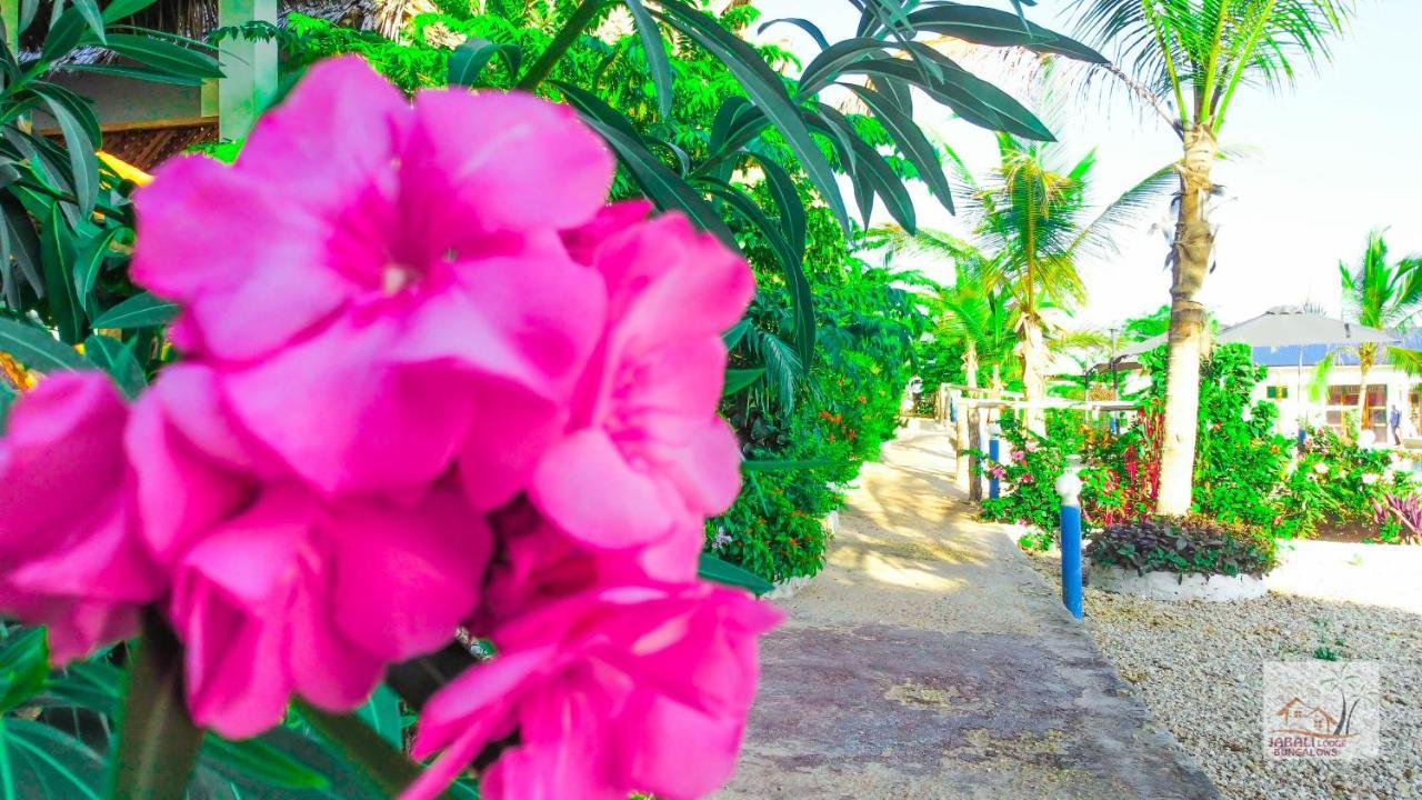 Jabali Bungalows Lodge Paje Kültér fotó